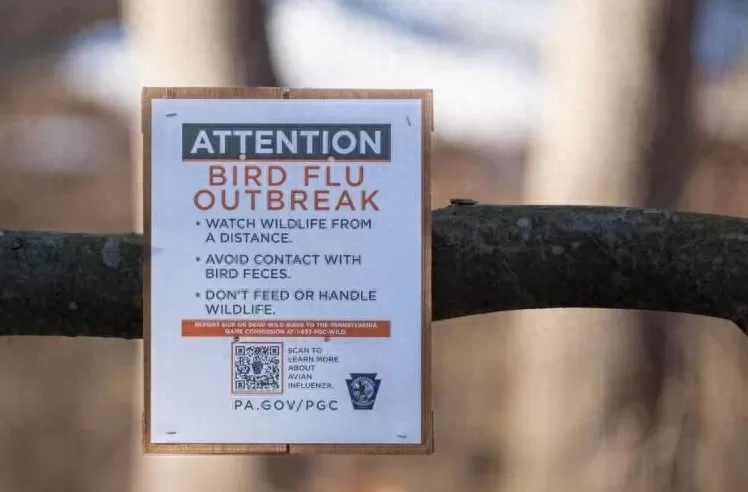 全球首例人感染H5N5禽流感病例死亡，普通人如何防范？-第1张图片-