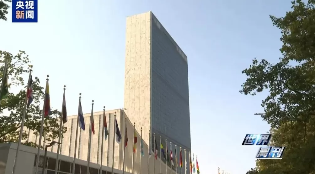 上任满月频挑衅，高市早苗暴露日本“危险转向”-第43张图片-