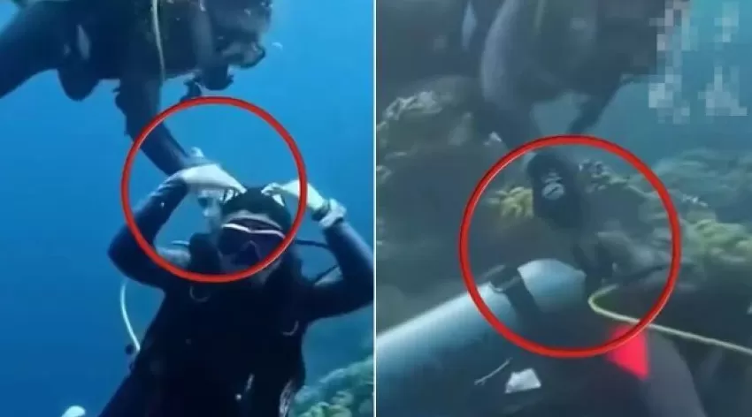 潜水员水下关闭他人气瓶，国际专业潜水教练协会：永久取消其资格-第2张图片-