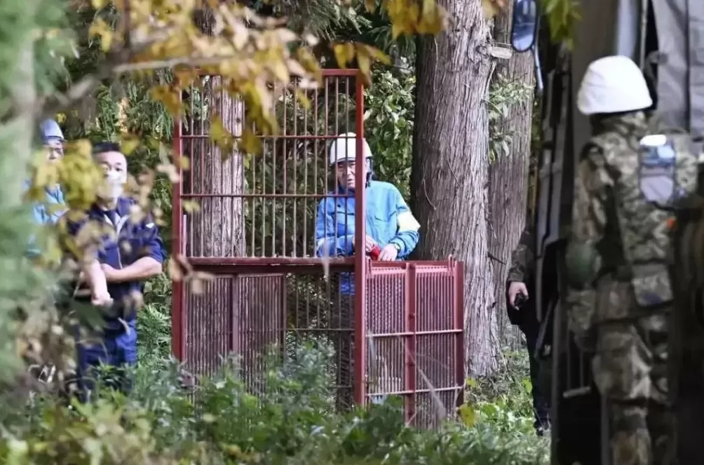 石破茂带头吃熊肉，日本先被熊干翻了-第8张图片-