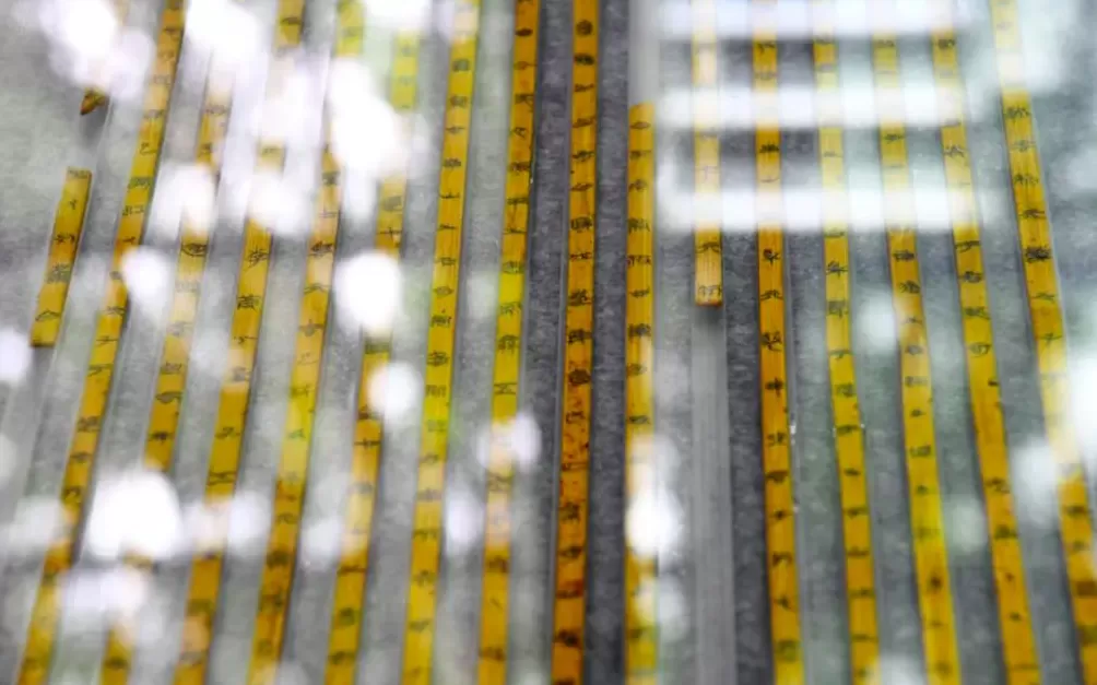 复旦研究员蒋文解读海昏简《诗经》-第3张图片- 复旦研究员蒋文解读海昏简《诗经》-第3张图片-