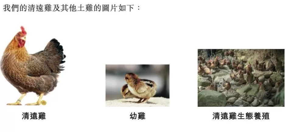 “鸡王”养猪，年入32亿-第1张图片-