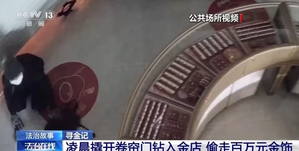 男子盗走300万黄金，被抓后拒不吐露藏匿地点，警方凭狗叫声找到线索-第2张图片-