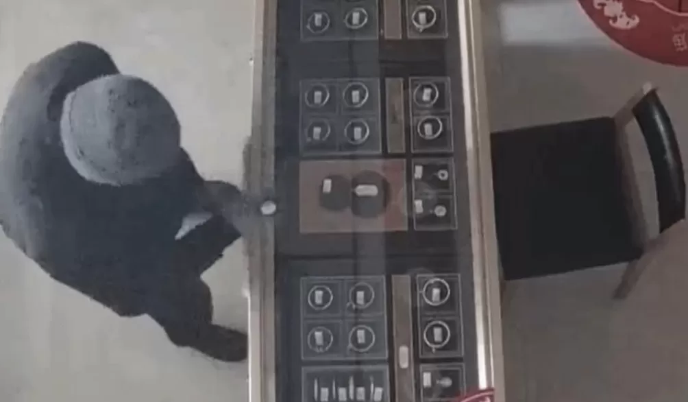 男子盗走300万黄金，被抓后拒不吐露藏匿地点，警方凭狗叫声找到线索-第3张图片-