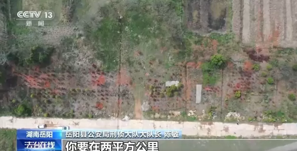 男子盗走300万黄金，被抓后拒不吐露藏匿地点，警方凭狗叫声找到线索-第28张图片-