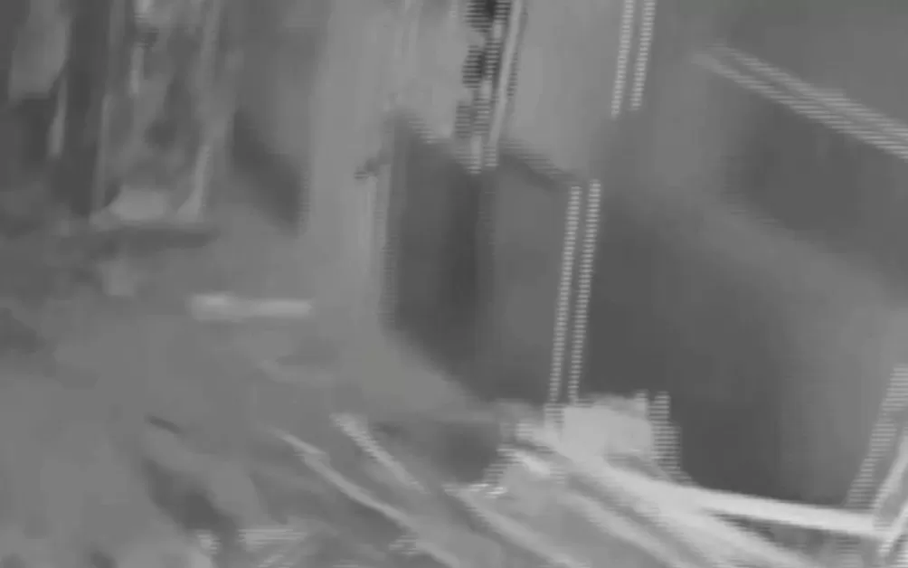 男子盗走300万黄金，被抓后拒不吐露藏匿地点，警方凭狗叫声找到线索-第29张图片-