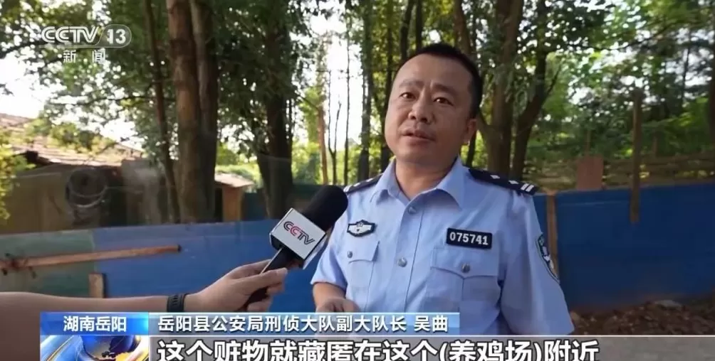 男子盗走300万黄金，被抓后拒不吐露藏匿地点，警方凭狗叫声找到线索-第36张图片-