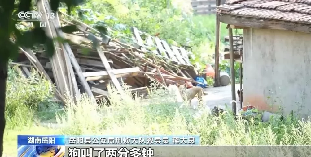 男子盗走300万黄金，被抓后拒不吐露藏匿地点，警方凭狗叫声找到线索-第34张图片-