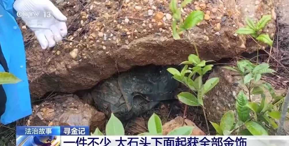 男子盗走300万黄金，被抓后拒不吐露藏匿地点，警方凭狗叫声找到线索-第40张图片-