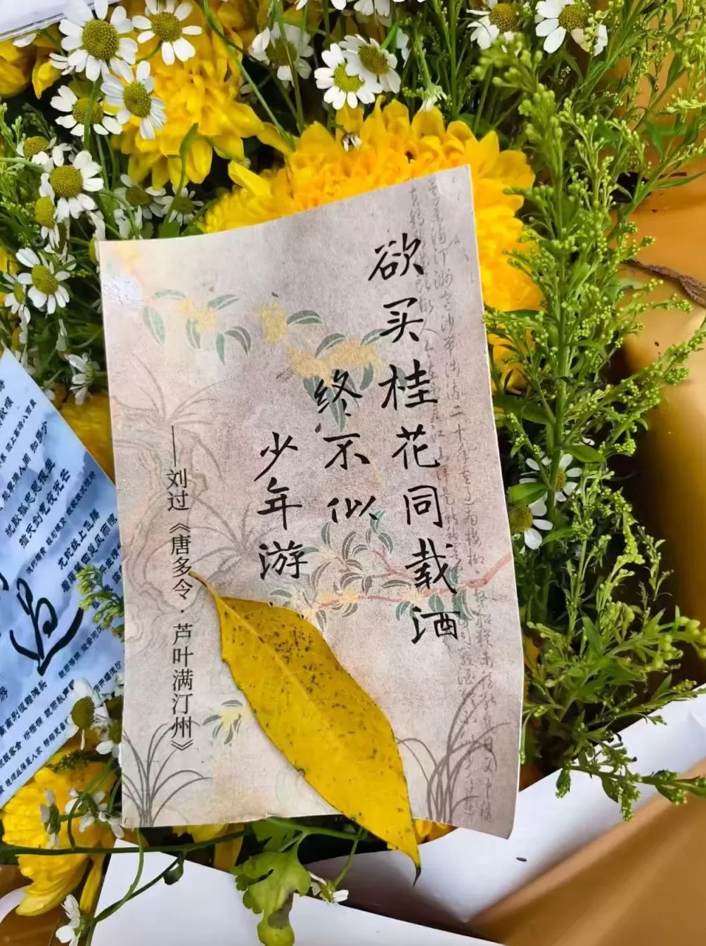 夜读|桂花年年开,少年今何在-第2张图片- 夜读|桂花年年开,少年今何在-第2张图片-