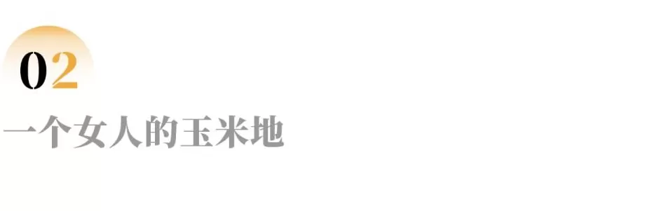 消失在玉米地里的母亲-第3张图片-