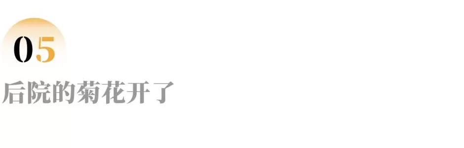 消失在玉米地里的母亲-第9张图片-