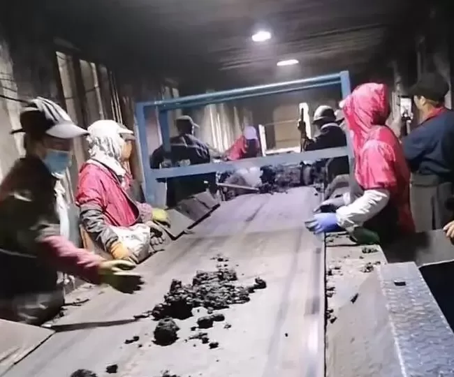 消失在玉米地里的母亲-第6张图片-