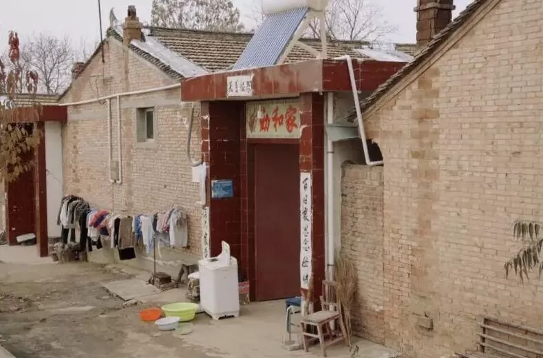 消失在玉米地里的母亲-第11张图片-