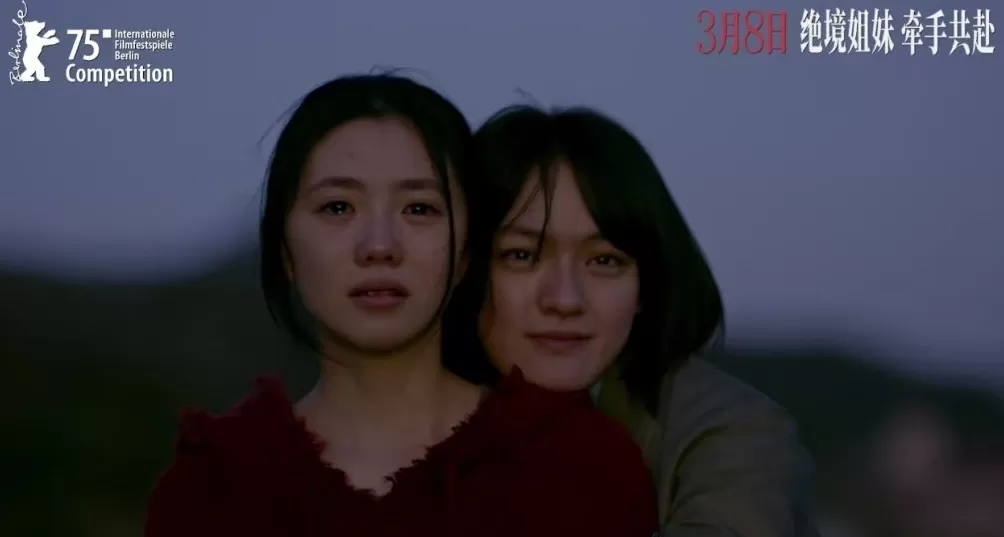 张子枫文淇刘浩存李庚希赵今麦——十字路口的00花-第1张图片-