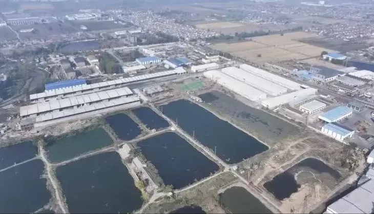 徐州泉山区一农副品保供中心被指未批先建毁坏林地，官方回复-第3张图片-