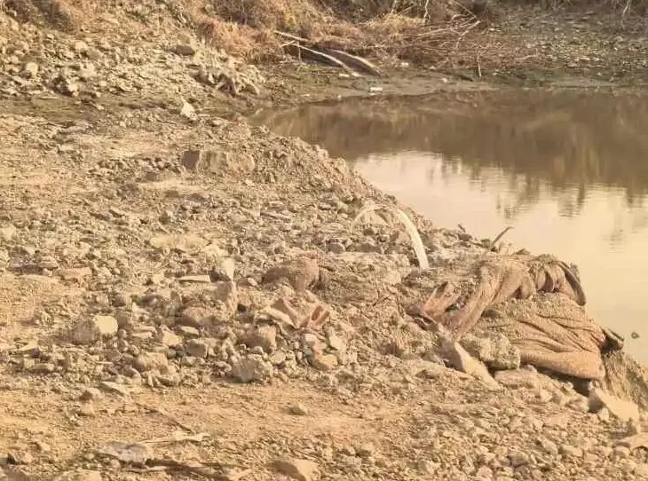 徐州泉山区一农副品保供中心被指未批先建毁坏林地，官方回复-第2张图片-