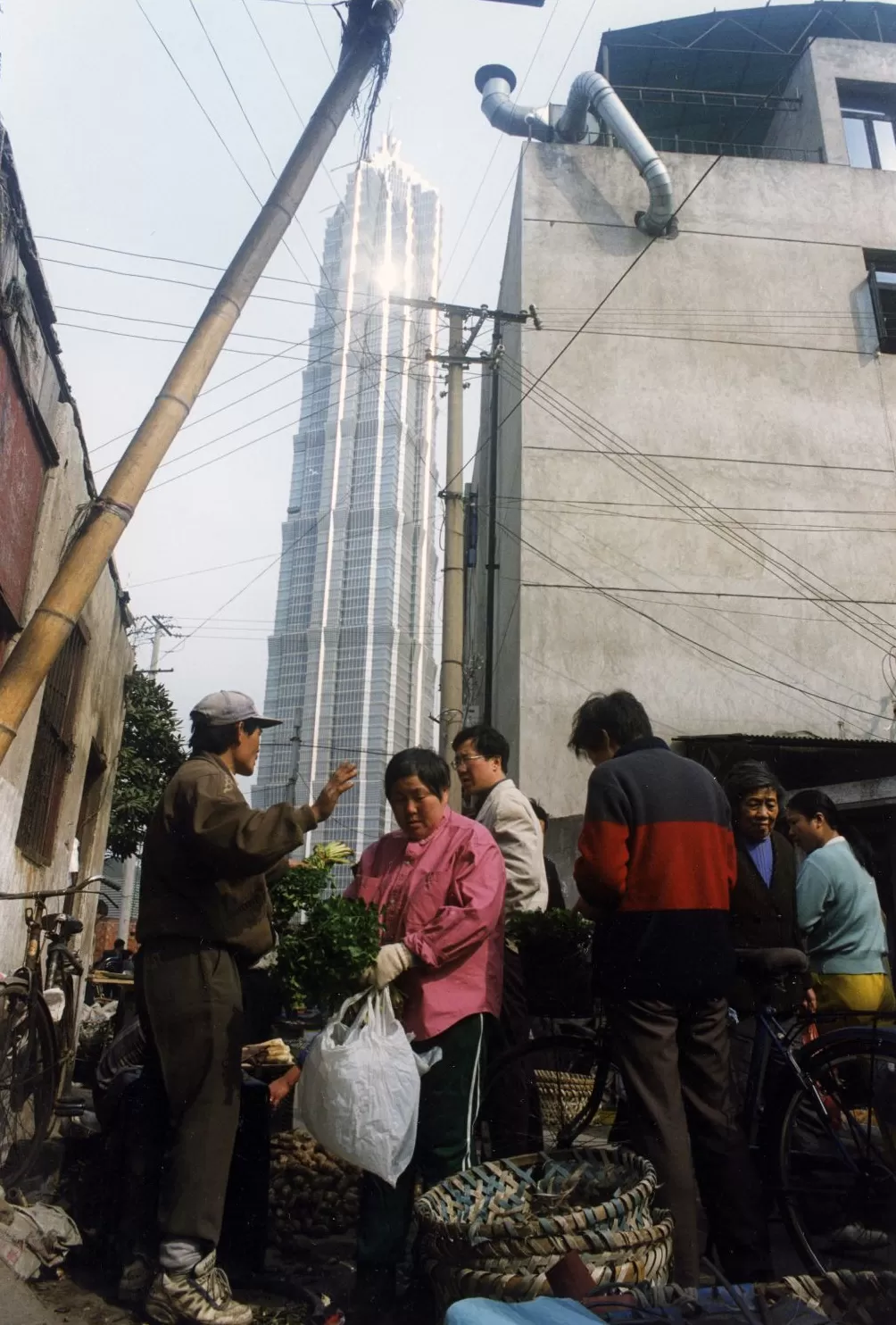 上海相册V②｜蚱蜢飞上天-第9张图片-