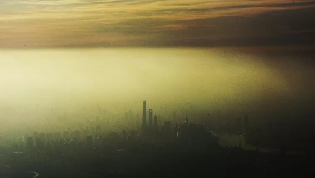 上海相册V②｜蚱蜢飞上天-第19张图片-