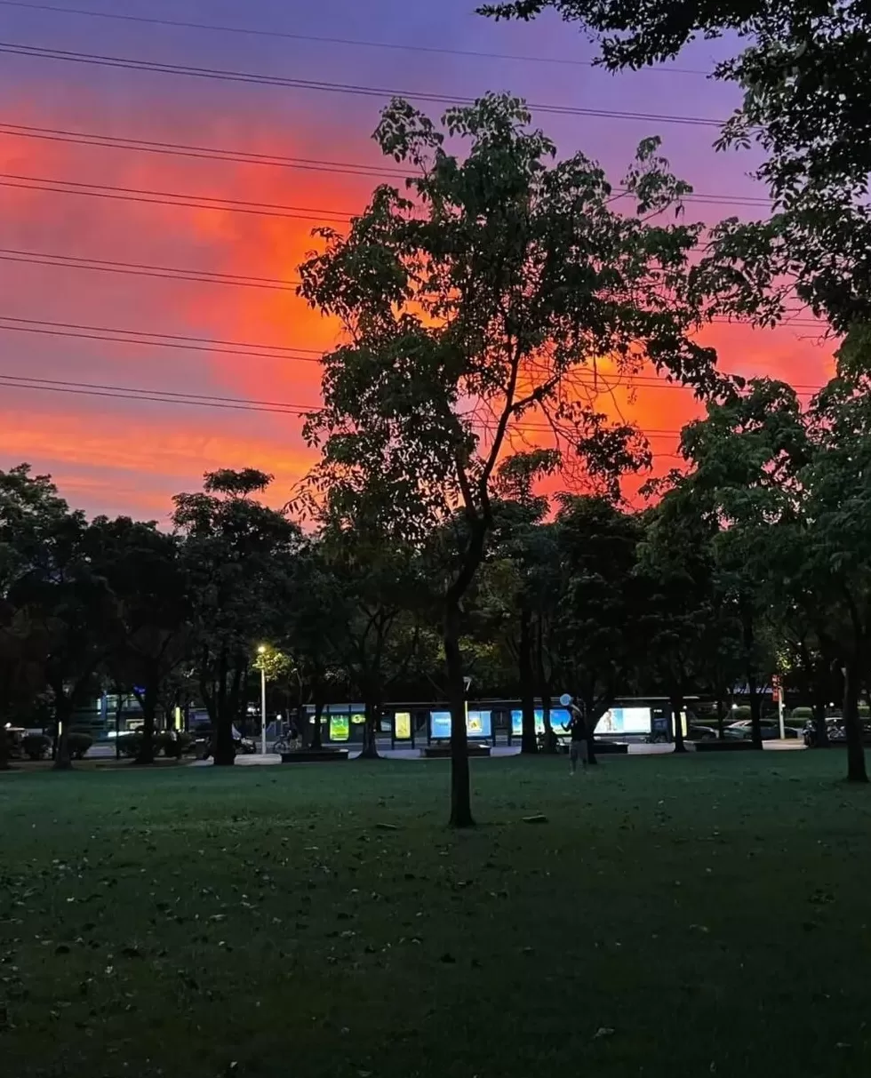 第一批丁克老后，“伴侣能陪一程，但最后都要靠自己”-第2张图片-