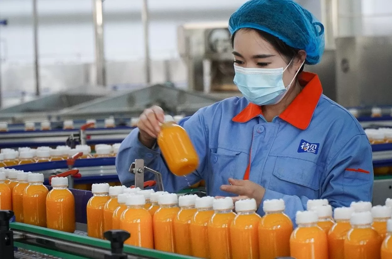 北漂返乡、日销千单：吕梁沙棘产业借拼多多实现人才、销量“双回流”-第3张图片-