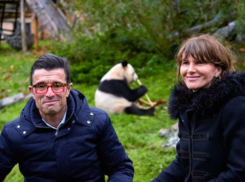 城事|旅法大熊猫“欢欢”“圆仔”提前回国,享受元首级礼遇-第3张图片- 城事|旅法大熊猫“欢欢”“圆仔”提前回国,享受元首级礼遇-第3张图片-