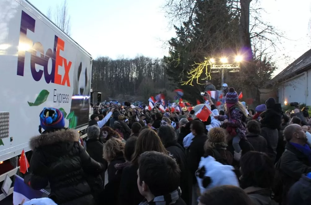 城事|旅法大熊猫“欢欢”“圆仔”提前回国,享受元首级礼遇-第5张图片- 城事|旅法大熊猫“欢欢”“圆仔”提前回国,享受元首级礼遇-第5张图片-