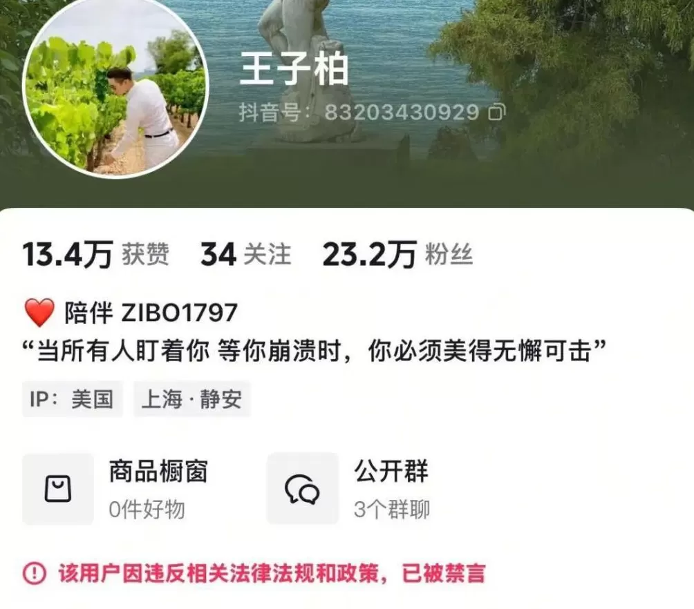 偷税749万的炫富网红“柏公子”改名复出，IP显示在美国-第6张图片-