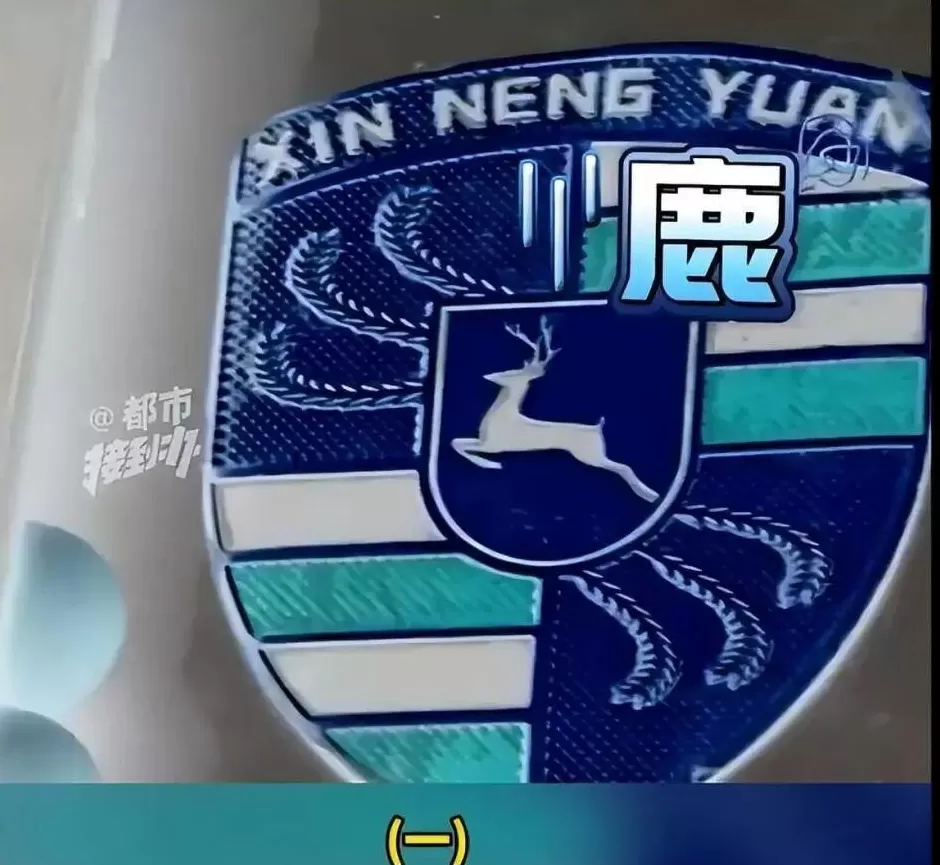 大爷花2万多网购“高配大卡宴”，到手变“保时捷鹿”：这是山寨中的山寨！厂家回应-第2张图片-