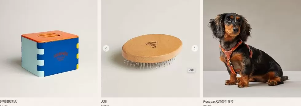 爱马仕新上架2万元不锈钢狗碗,客服:只剩少量库存-第2张图片- 爱马仕新上架2万元不锈钢狗碗,客服:只剩少量库存-第2张图片-