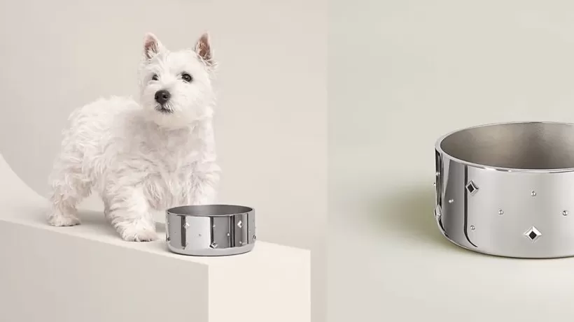 爱马仕新上架2万元不锈钢狗碗,客服:只剩少量库存-第3张图片- 爱马仕新上架2万元不锈钢狗碗,客服:只剩少量库存-第3张图片-