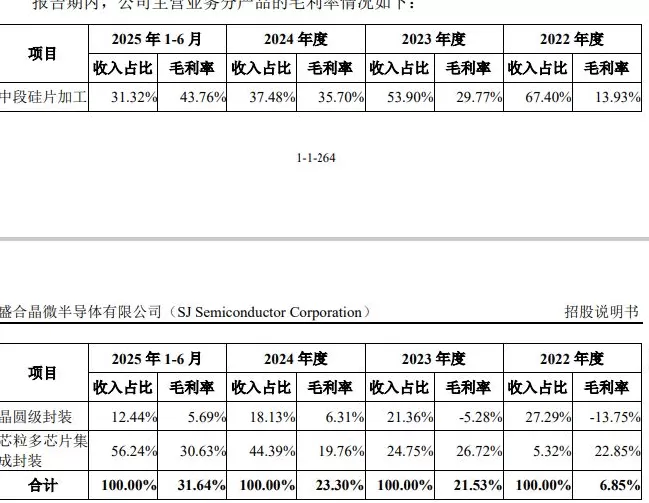 IPO雷达 | 国内第四大封测厂盛合晶微无实控人，第一大客户收入占比已超七成-第6张图片-