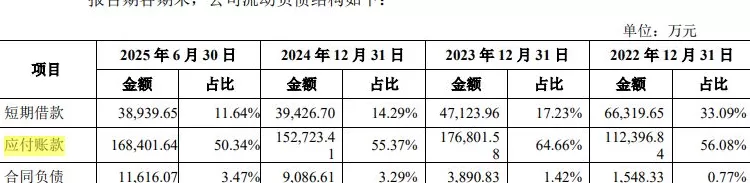 IPO雷达 | 国内第四大封测厂盛合晶微无实控人，第一大客户收入占比已超七成-第10张图片-