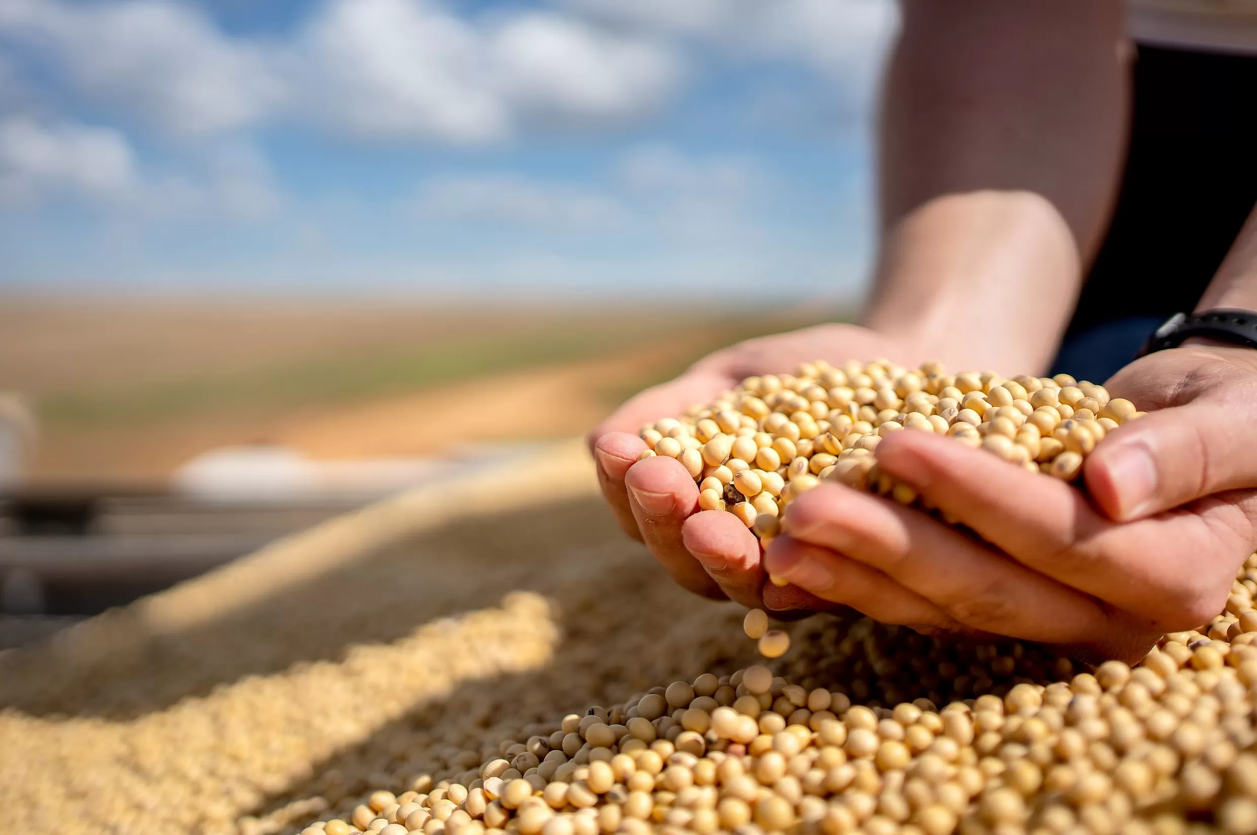 三艘货轮已驶往美国码头,将装载对华出口的大豆和高粱-第1张图片- 三艘货轮已驶往美国码头,将装载对华出口的大豆和高粱-第1张图片-