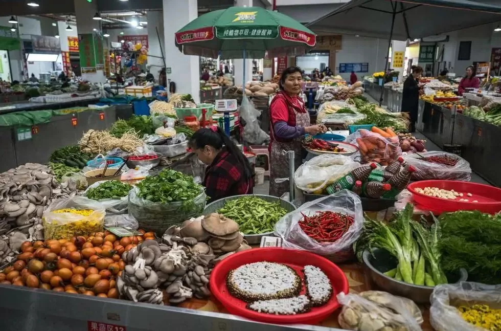 “成本500售价5000”!“蜂拥而上”的虎头蜂产业,是商机还是骗局-第5张图片- “成本500售价5000”!“蜂拥而上”的虎头蜂产业,是商机还是骗局-第5张图片-