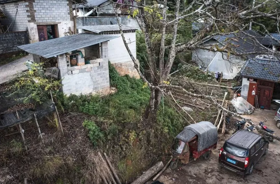 “成本500售价5000”!“蜂拥而上”的虎头蜂产业,是商机还是骗局-第9张图片- “成本500售价5000”!“蜂拥而上”的虎头蜂产业,是商机还是骗局-第9张图片-