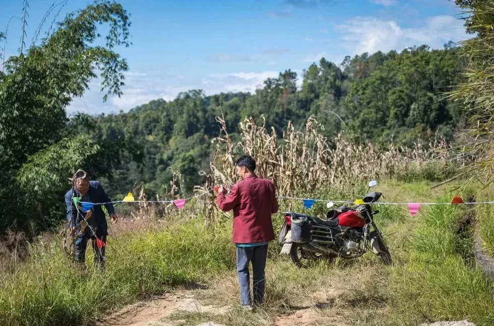“成本500售价5000”!“蜂拥而上”的虎头蜂产业,是商机还是骗局-第19张图片- “成本500售价5000”!“蜂拥而上”的虎头蜂产业,是商机还是骗局-第19张图片-