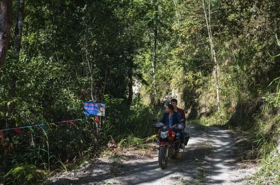 “成本500售价5000”!“蜂拥而上”的虎头蜂产业,是商机还是骗局-第20张图片- “成本500售价5000”!“蜂拥而上”的虎头蜂产业,是商机还是骗局-第20张图片-