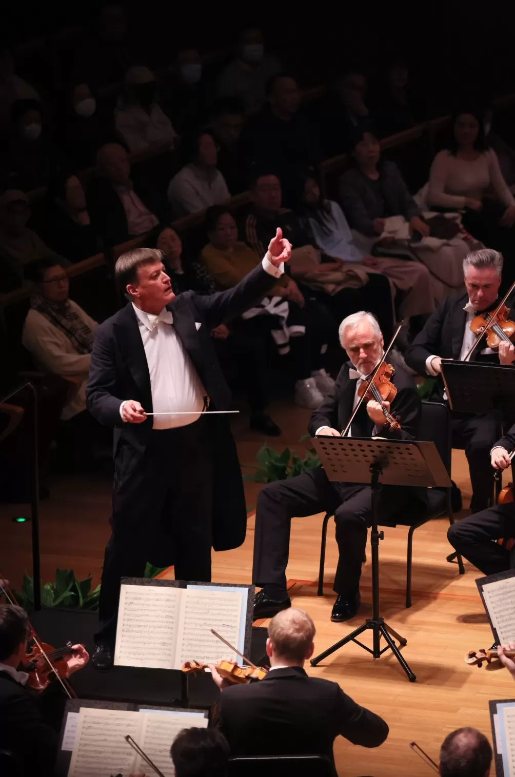 三大天团六场德奥巅峰之声,一个上海乐迷都听到了-第7张图片- 三大天团六场德奥巅峰之声,一个上海乐迷都听到了-第7张图片-