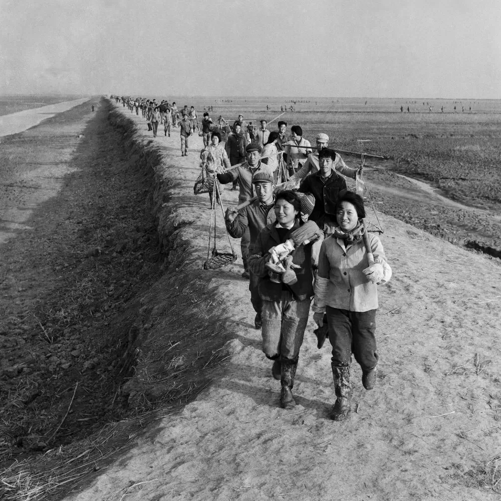 上海相册③｜大地，江河-第5张图片-