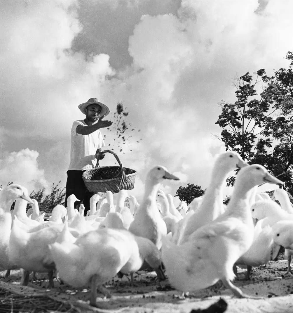 上海相册③｜大地，江河-第4张图片-