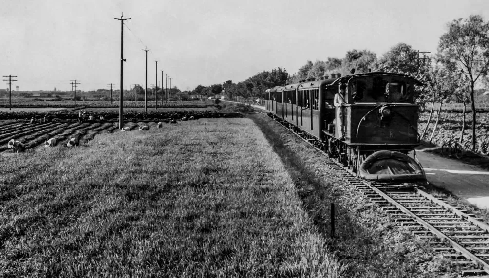 上海相册③｜大地，江河-第9张图片-