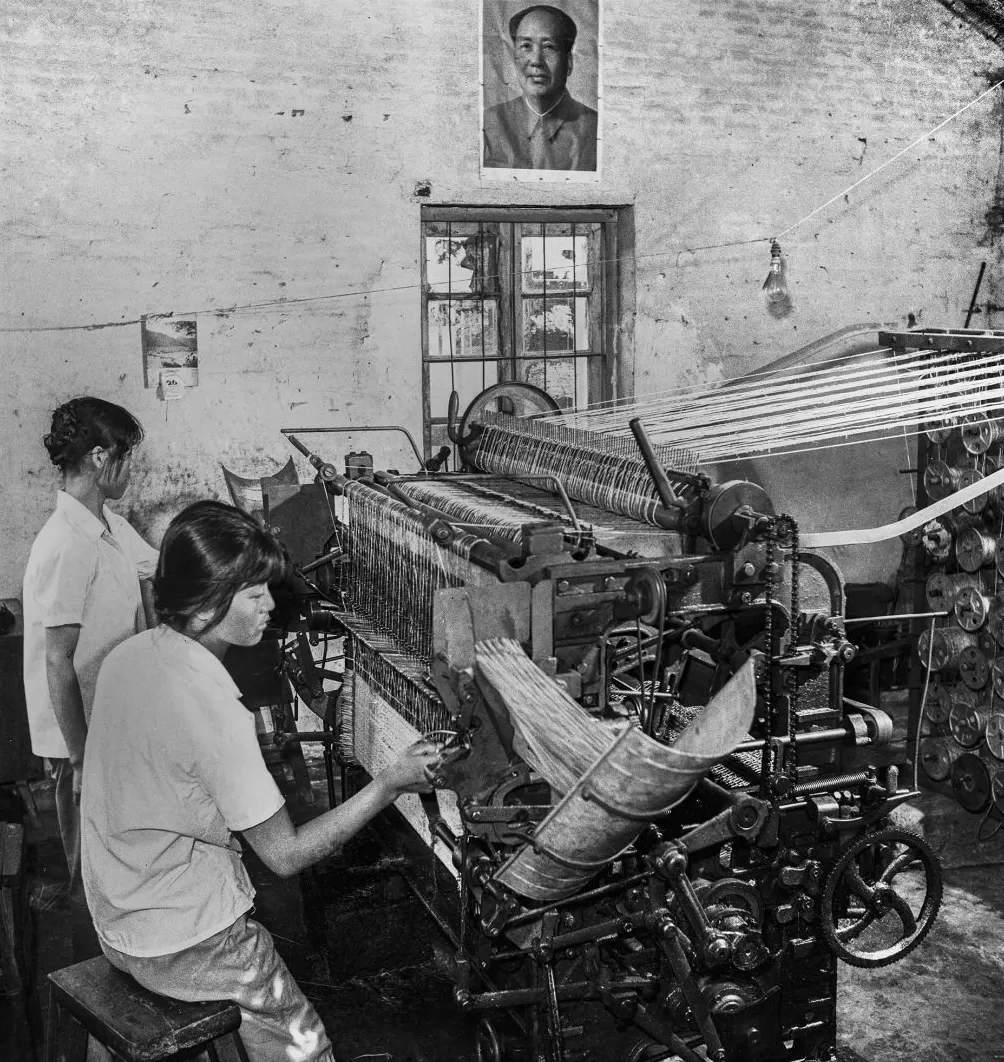 上海相册③｜大地，江河-第11张图片-