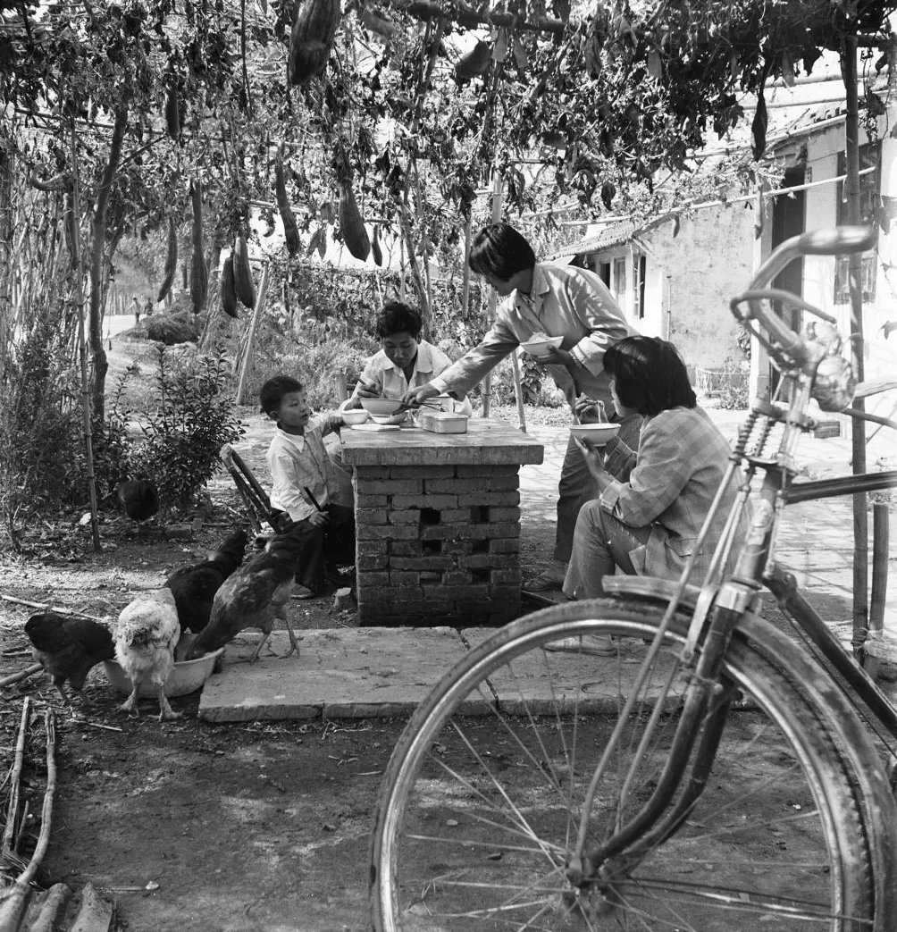 上海相册③｜大地，江河-第16张图片-