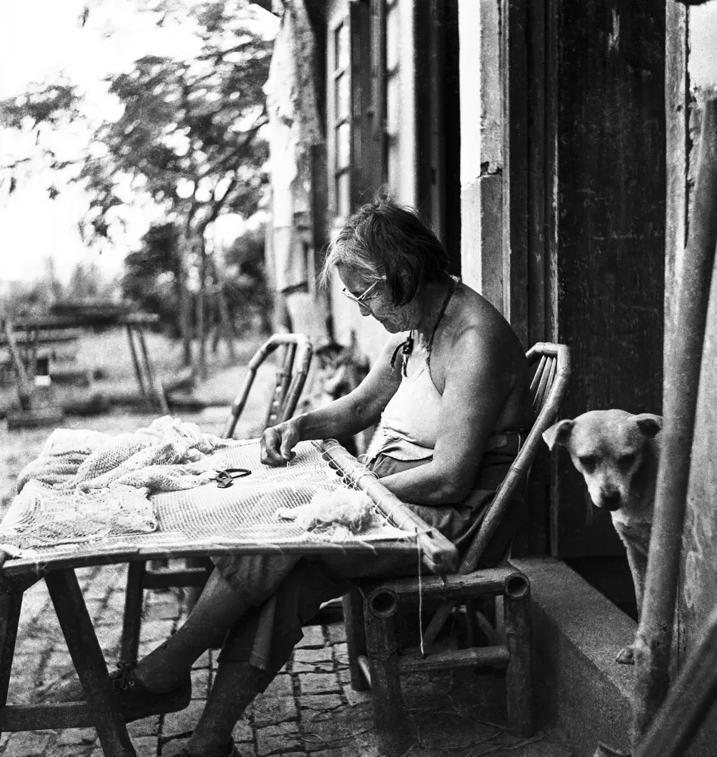 上海相册③｜大地，江河-第17张图片-