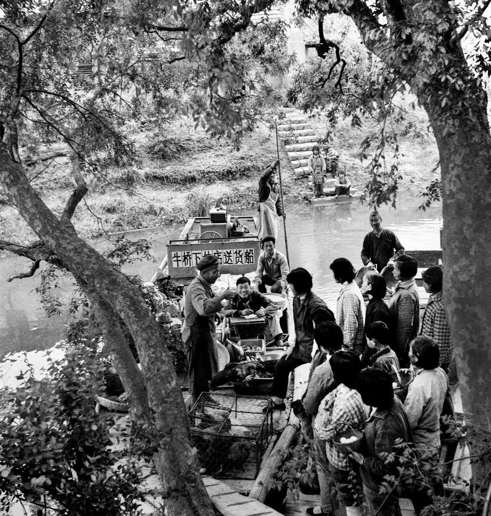 上海相册③｜大地，江河-第18张图片-