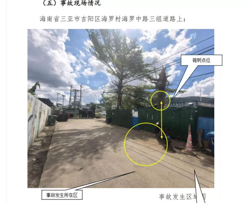 三亚一名工人在台风“剑鱼”过后清障作业锯树坠亡，事故调查报告发布-第1张图片-