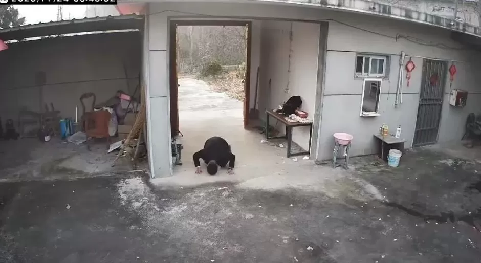 马上评|80后男子跪别老宅,为何戳中人们的泪点-第1张图片- 马上评|80后男子跪别老宅,为何戳中人们的泪点-第1张图片-