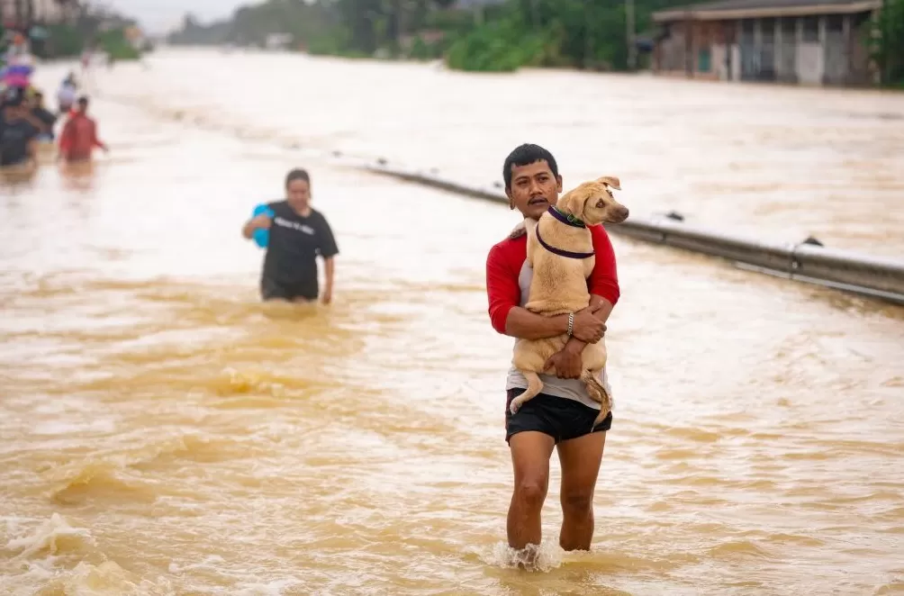 第1现场｜泰国世纪洪水已41死，派出航母救灾-第9张图片-