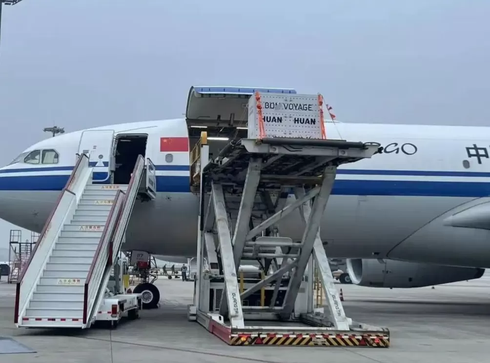 第1现场|13年旅法生涯画句点,“欢欢”“圆仔”荣耀归来-第1张图片- 第1现场|13年旅法生涯画句点,“欢欢”“圆仔”荣耀归来-第1张图片-